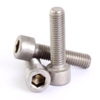 SS Cap Allen Bolt